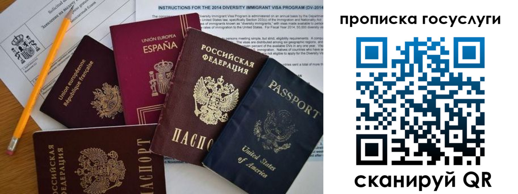 прописка гарантия в Зеленоградске